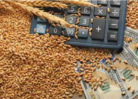 رشد ۳۵ درصدی قیمت خرید تضمینی گندم